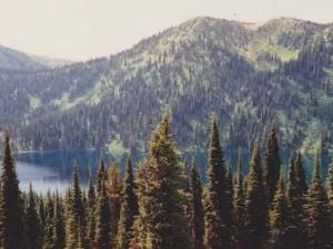 Fish Lake