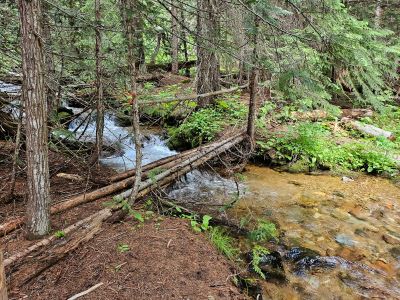 Evans Creek Bridge