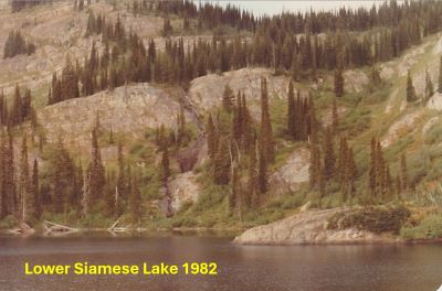 Siamese Lake 1982