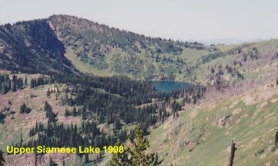 Siamese Lake 1998