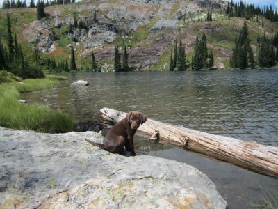 Skye at Kid Lake 2017