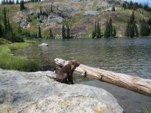 Kid Lake