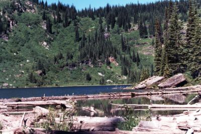 Little Cedar Log Lake 1984