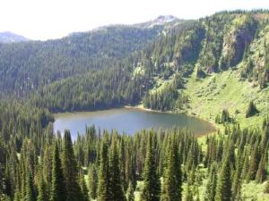 North Cedar Log Lake