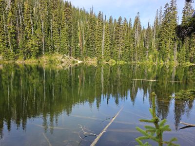 North Montana Lake 2025