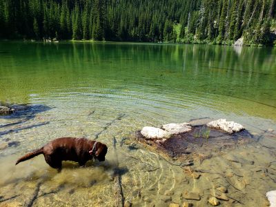 Schley Lake 2021
