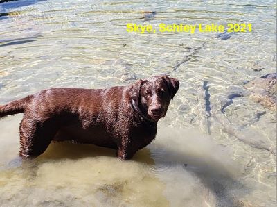 Schley Lake 2021