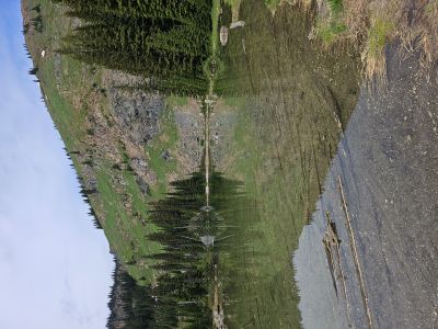 Schley Lake 2025