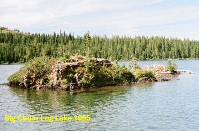 South Cedar Log Lake 1985