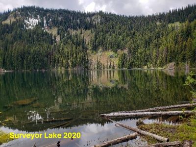 Surveyor Lake 2020