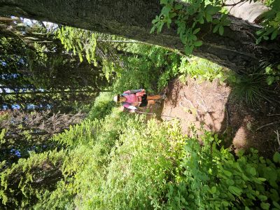 Surveyor Lake 2026