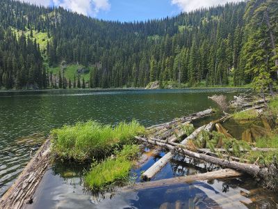 Surveyor Lake 2026