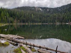 Surveyor Lake
