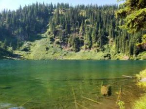 Heart Lake Big Cr
