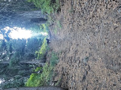 Lower St Regis Lake 2025