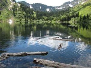 Lower Stevens Lake