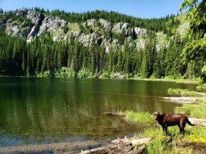 Tadpole Lake