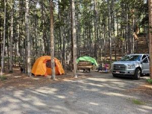 Marmot6P