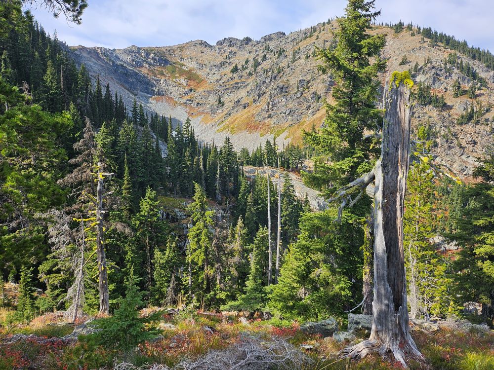 Ward Peak