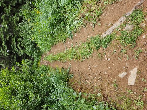 Fish Lake Trail/Road