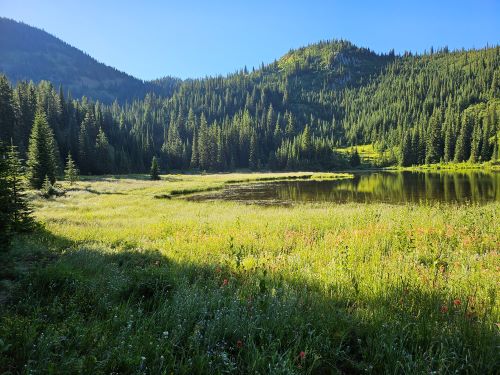 Goose Lake