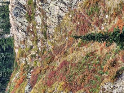 Traverse Trail
