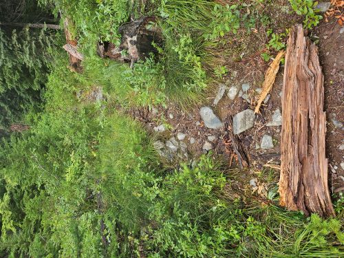 Trail #262