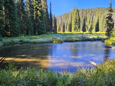 St Joe Lake Trail 49