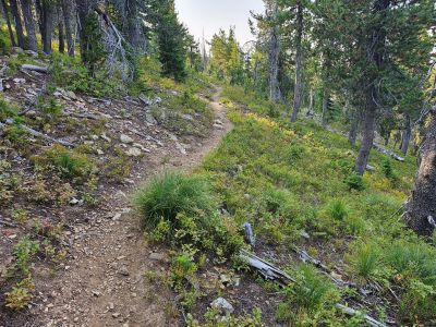 State Line Trail #738