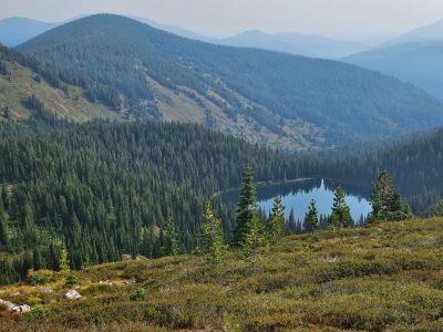 State Line Trail #738
