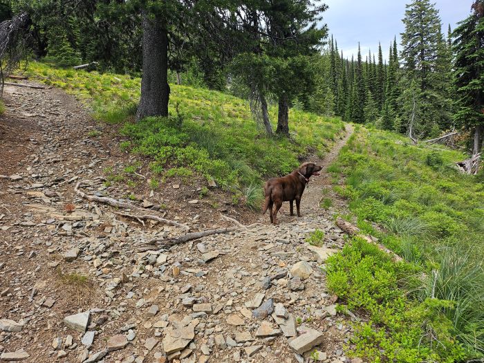 Trail 404