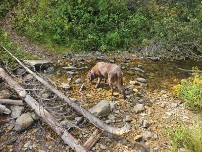 Second Creek Crossing