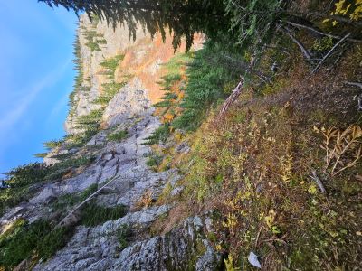 Traverse Trail