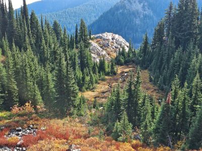 Traverse Trail