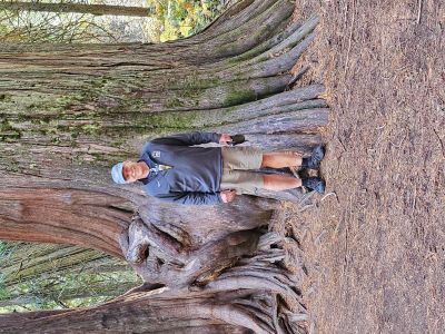 Ross Creek Cedars