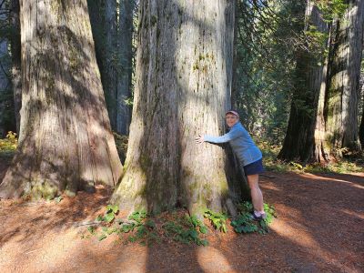 Ross Creek Cedars