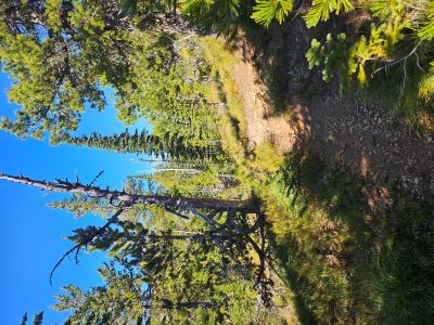 Lost Peak Trail Junction