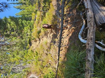 Lost Peak Trail