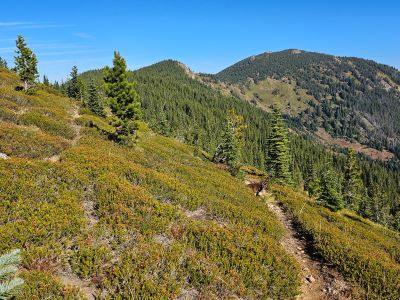 Lost Peak