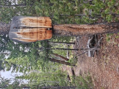 Into the Anaconda-Pintler Wilderness