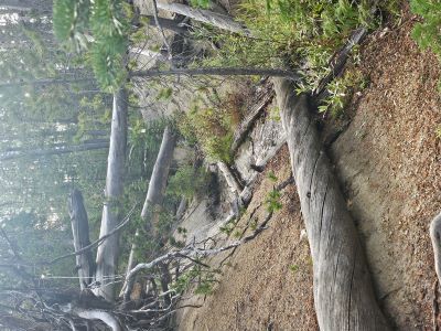 1st Creek Crossing