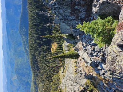 Looking Down at Trail #250