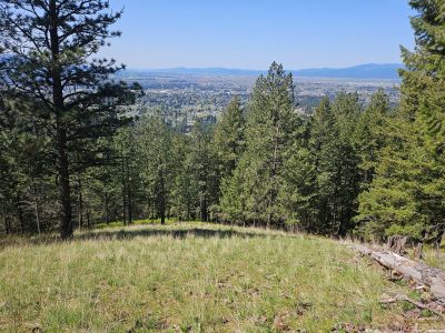 Along the Trail