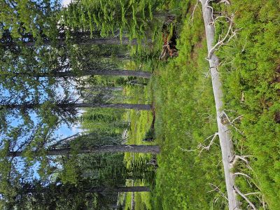 Along the Ridgeline