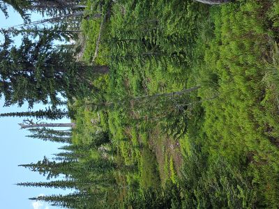 Along the Ridgeline