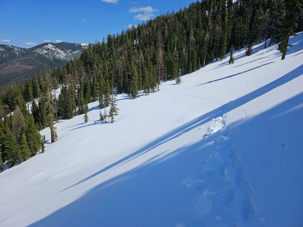Along the Trail to Revett Lake In May