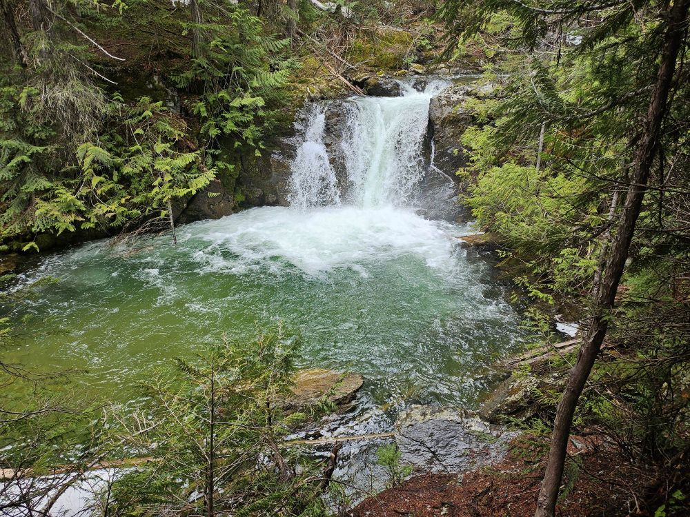 Waterfall on North Fork of Trout Creek