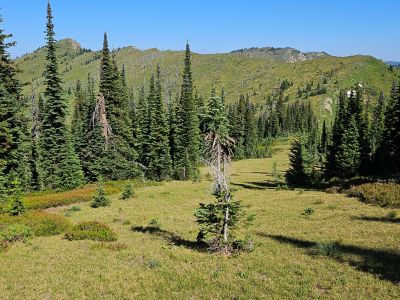Down to Saddle Above Siamese Lake