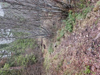 Flat Rock Creek Trail