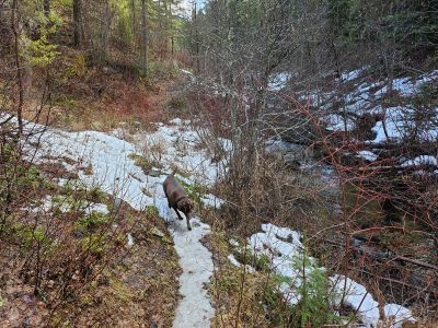 Flat Rock Creek Trail